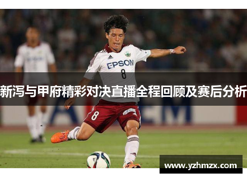 新泻与甲府精彩对决直播全部部程回顾及赛后分析