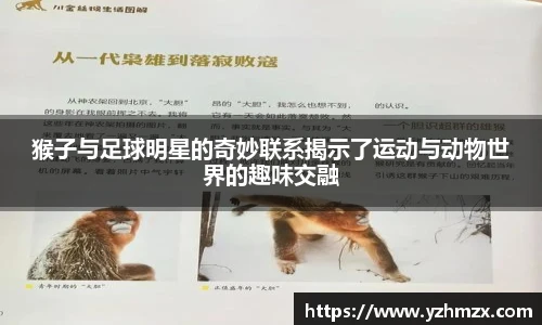 猴子与足球明星的奇妙联系揭示了行动与动物世界的趣味交融